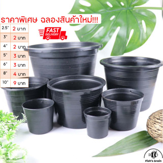 กระถาง 2.5” 3” 4” 5” 6” 8” 11” กระถางต้นไม้พลาสติก กระถางดำ …