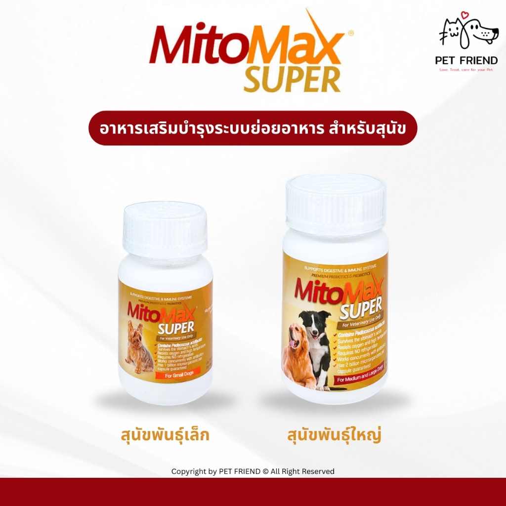 Mitomax Super 🐶🐱 (Probiotic + Prebiotic) อาหารเสริมบำรุงระบบย่อยอาหาร สำหรับสุนัขและแมว