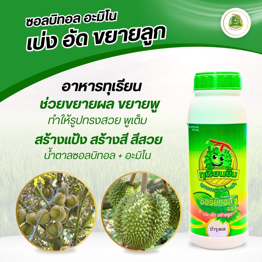 Sorbitol Amino ( ซอลบิทอล อะมิโน ) ทุเรียนยิ้ม เร่งดอก เร่งผล ลดการหลุดร่วง สร้างแป้ง สร้างสี เพิ่มความหวาน รสชาตดี