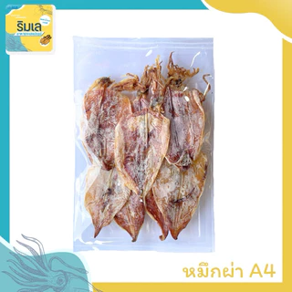 หมึกผ่า หมึกแห้ง A4 ทอดหอมอร่อย ของฝากบ้านเพระยอง