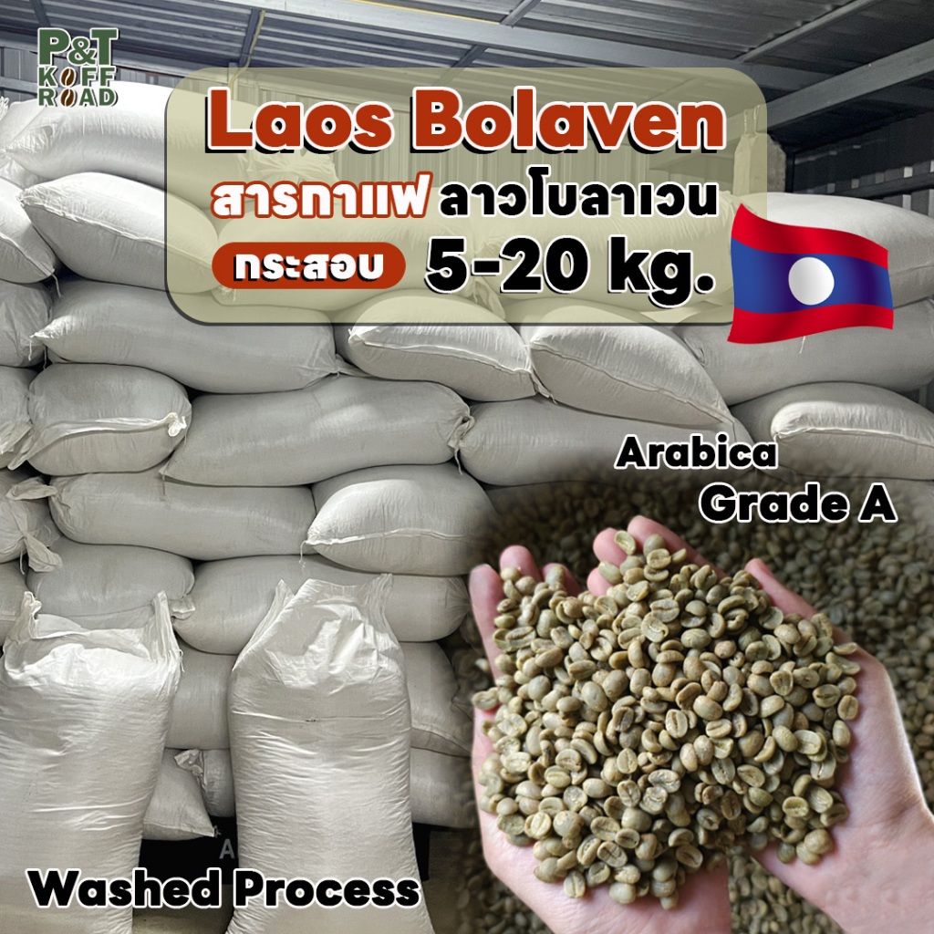 [กระสอบ 5 kg] สารกาแฟ ลาว โบลาเวน Laos Bolaven Green Bean  .สั่งซื้อเกิน 20kg.ทักแชท PT.KoffRoad
