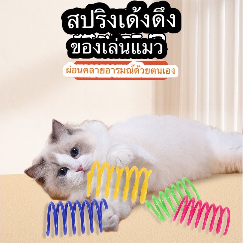 ของเล่นแมว สปริงหลากสี พร้อมส่งในไทย