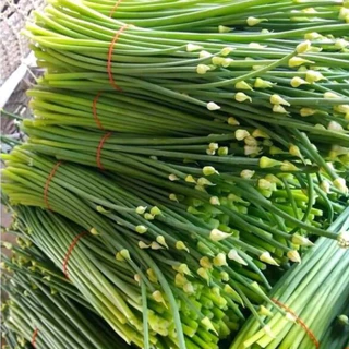 หอมบั่วเลย 20ต้น 60บาท หอมแก่พร้อมปลูกครับ