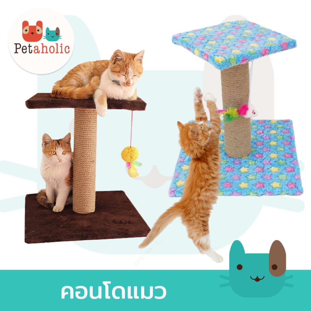 คอนโดแมว ของเล่นแมว ที่นอน ที่ลับเล็บแมว 2 ชั้น Cat tree condo