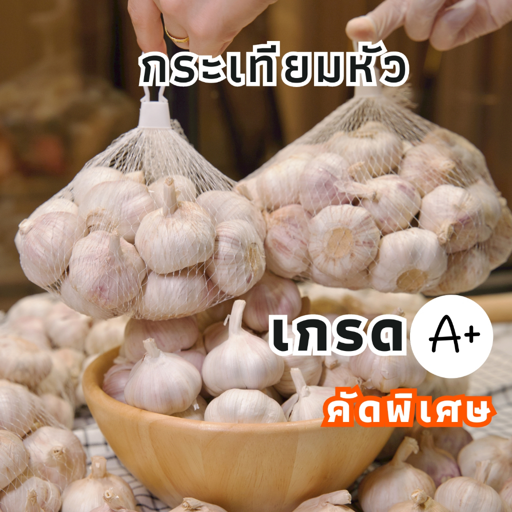 กระเทียมหัว กระเทียมปิงปอง (คัดพิเศษ) ราคาถูก เนื้อเยอะ ไม่ฝ่อ ไม่ขึ้นรา