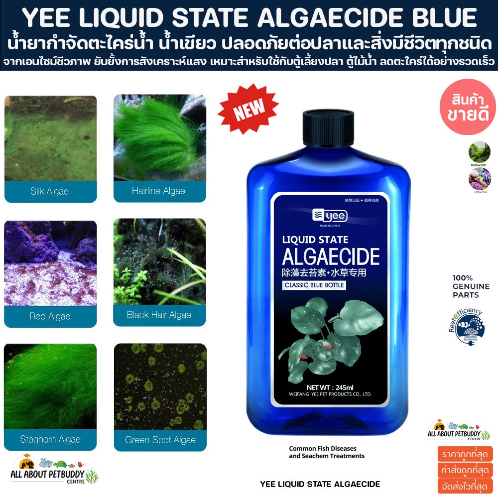 YEE LIQUID STATE ALGAECIDE BLUE น้ำยากำจัดตะไคร่ น้ำเขียว จากเอนไซม์ชีวภาพ ยับยั้งการสังเคราะห์แสง ปลอดภัยต่อปลา ตู้ปลา