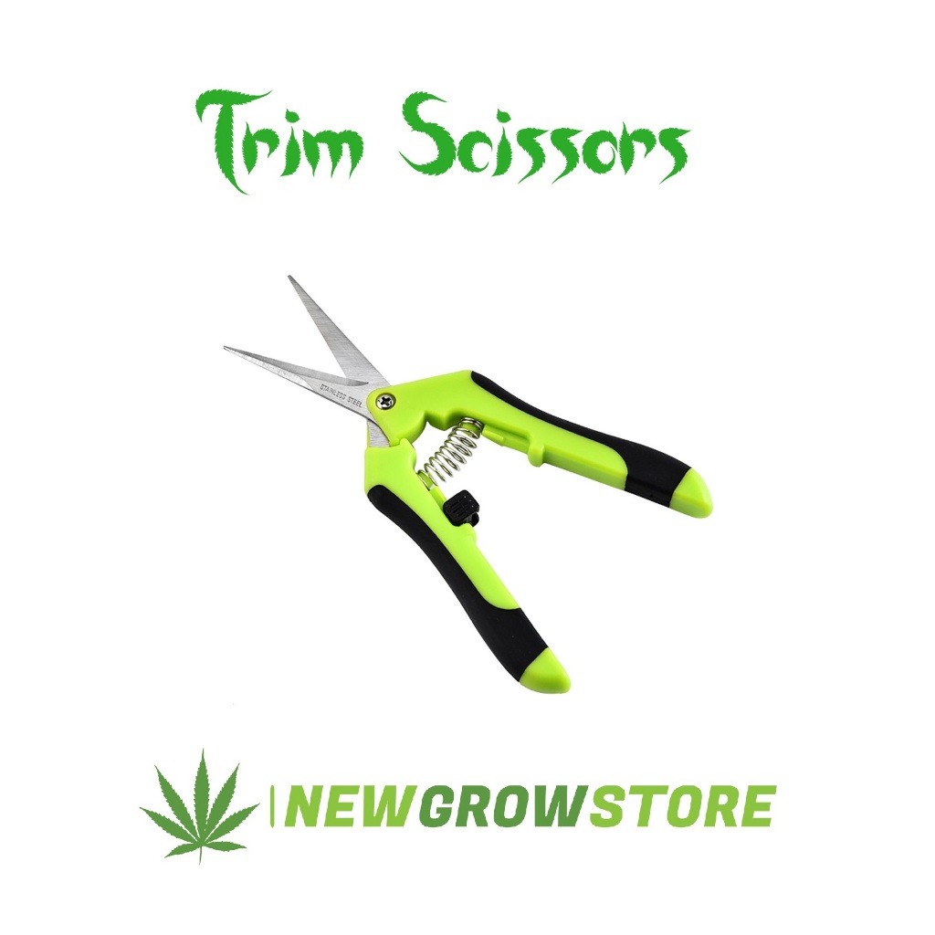 กรรไกรตัดกิ่ง 6.5 นิ้ว กรรไกรทริม กรรไกรตัดกิ่ง กรรไกรทริมดอก Trim Scissors กรรไกรตัดกิ่ง scissor
