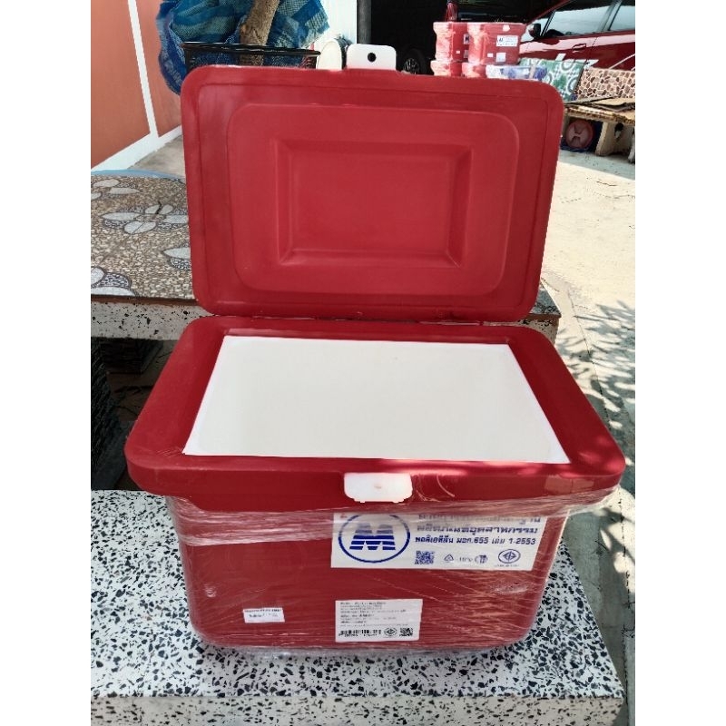 ถังแช่ขนาด 25 ลิตรสุ่มสี 50 * 36 ความสูง 36 cm น้ำหนัก 5.5 กิโลกรัม