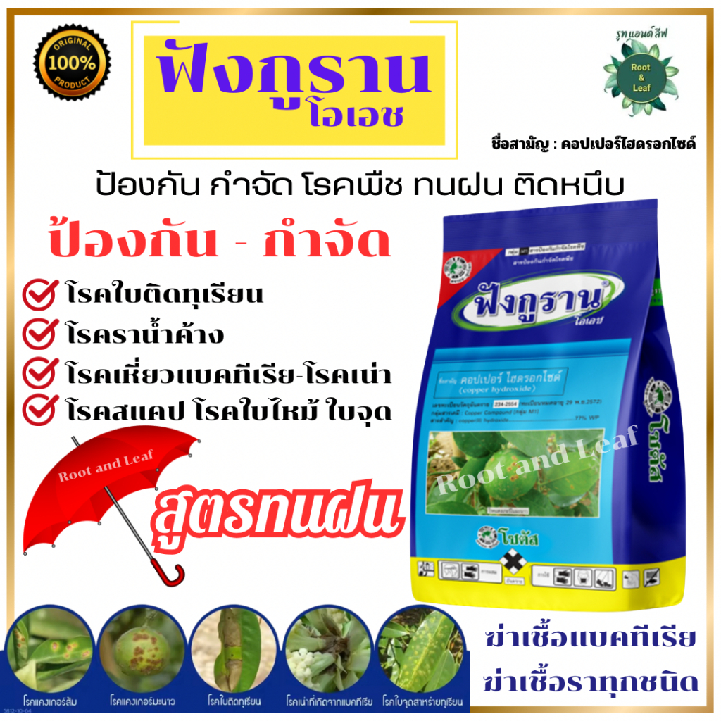 ฟังกูราน-โอเอช สูตรทนฝน ป้องกัน กำจัดเชื้อรา และโรคพืช โรคใบไหม้ โรคใบจุด โรคแคงเกอร์ คอปเปอร์ไฮดรอกไซด์