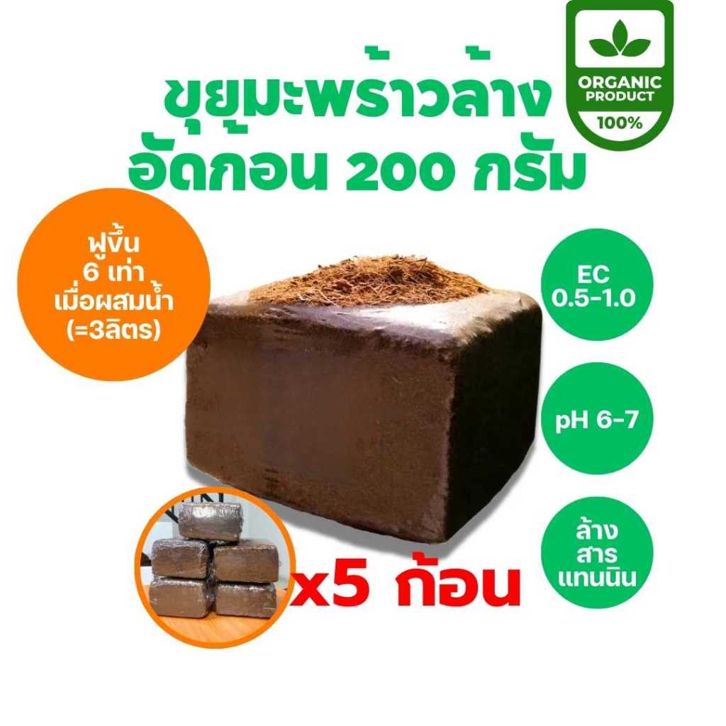 รูปภาพ 2