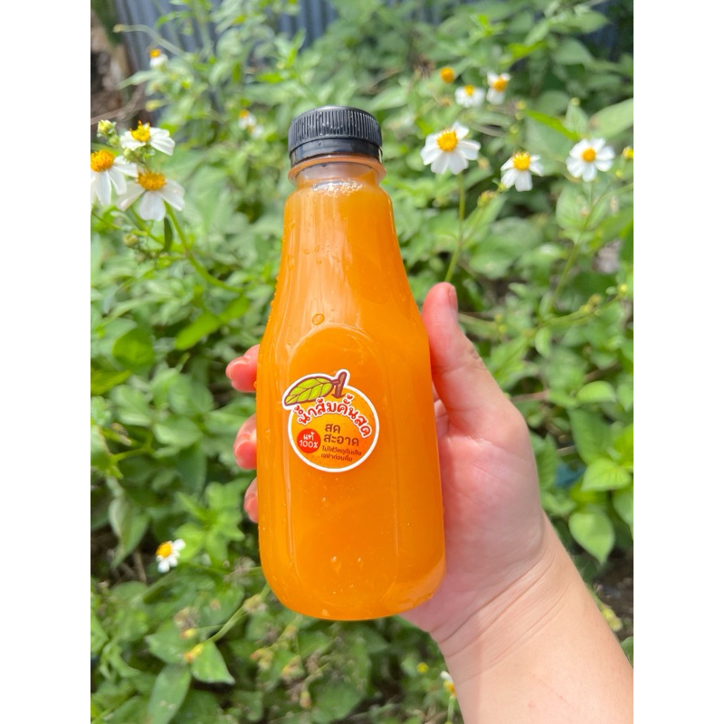 ส้มสายน้ำผึ้งฝาง 5กก. #ส่งฟรี# สำหรับคั้นน้ำแกะทานเนื้อได้ เก็บสดจากสวนทุกวัน