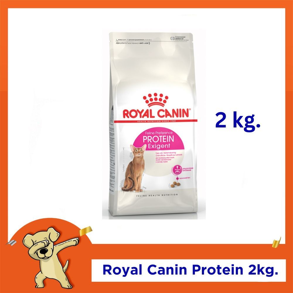 [Cheaper] Royal Canin Protein Exigent 2kg. โรยัลคานิน อาหารแมว ทานยาก เลือกทาน สูตรเน้นโปรตีน