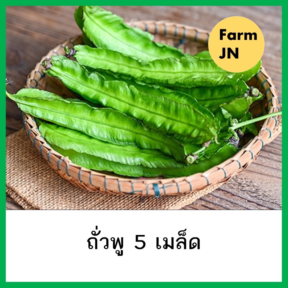 เมล็ดถั่วพู5เมล็ด เมล็ดผักสวนครัว เมล็ดพันธุ์ผัก เมล็ดผัก5บาท 10แถม1คละได้