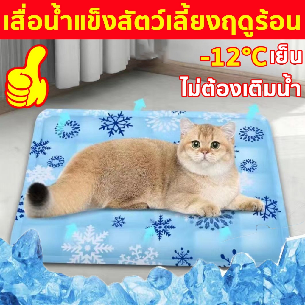 แผ่นเจลเย็นแมว แบบหนา เย็นสบาย ที่นอนแมวเย็นๆ ที่นอนสัตว์เลี้ยง เบาะสัตว์เลี้ยง ที่นอนแมว 30*40/40*50/50*60cm