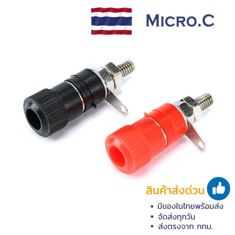 แจ็คบานาน่า (Banana jack) แดง ดำ ตัวเมีย (1 ตัว)