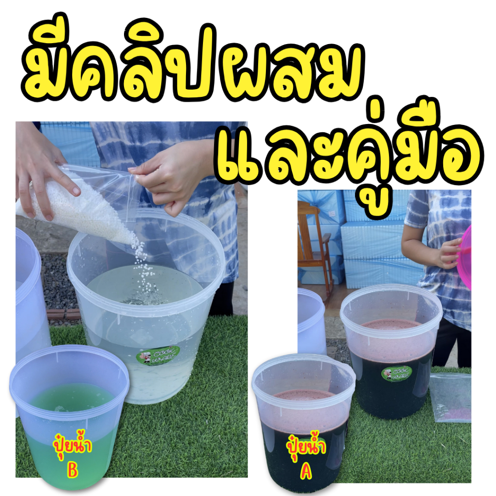 รูปภาพ 4
