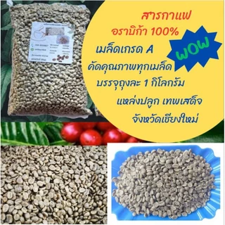 เมล็ดกาแฟ สารกาแฟ เทพเสด็จ เมล็ดกาแฟอาราบิก้า100% เกรด A
