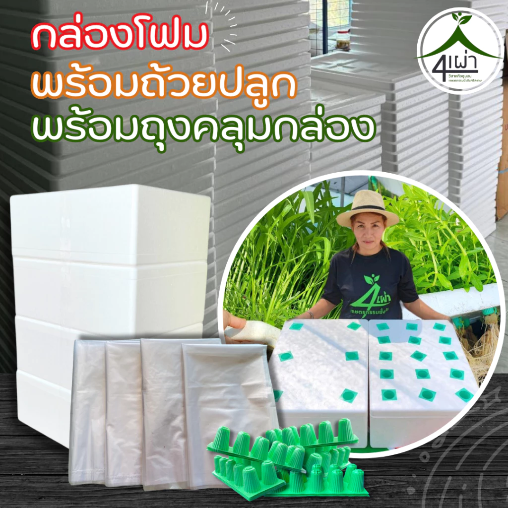 กล่องโฟมปลูกผักสลัดและผักสวนครัว แพ็คสุดคุ้ม 4 กล่อง พร้อมเจาะรู+ถุงคลุมกล่อง+ถ้วยปลูกสีเขียว 80 หลุม -เกษตรกรรมยั่งยืน