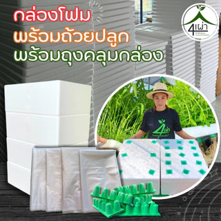 กล่องโฟมปลูกผักสลัดและผักสวนครัว แพ็คสุดคุ้ม 4 กล่อง พร้อมเจาะรู+ถุงคลุมกล่อง+ถ้วยปลูกสีเขียว 80 หลุม -เกษตรกรรมยั่งยืน