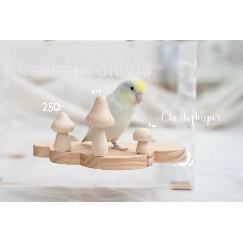 🤎พร้อมส่ง🤍 ของเล่นนก หนู ชูก้าไรเดอร์ ที่ยืนเมฆเห็ดสุดน่ารัก มี 2 ขนาด