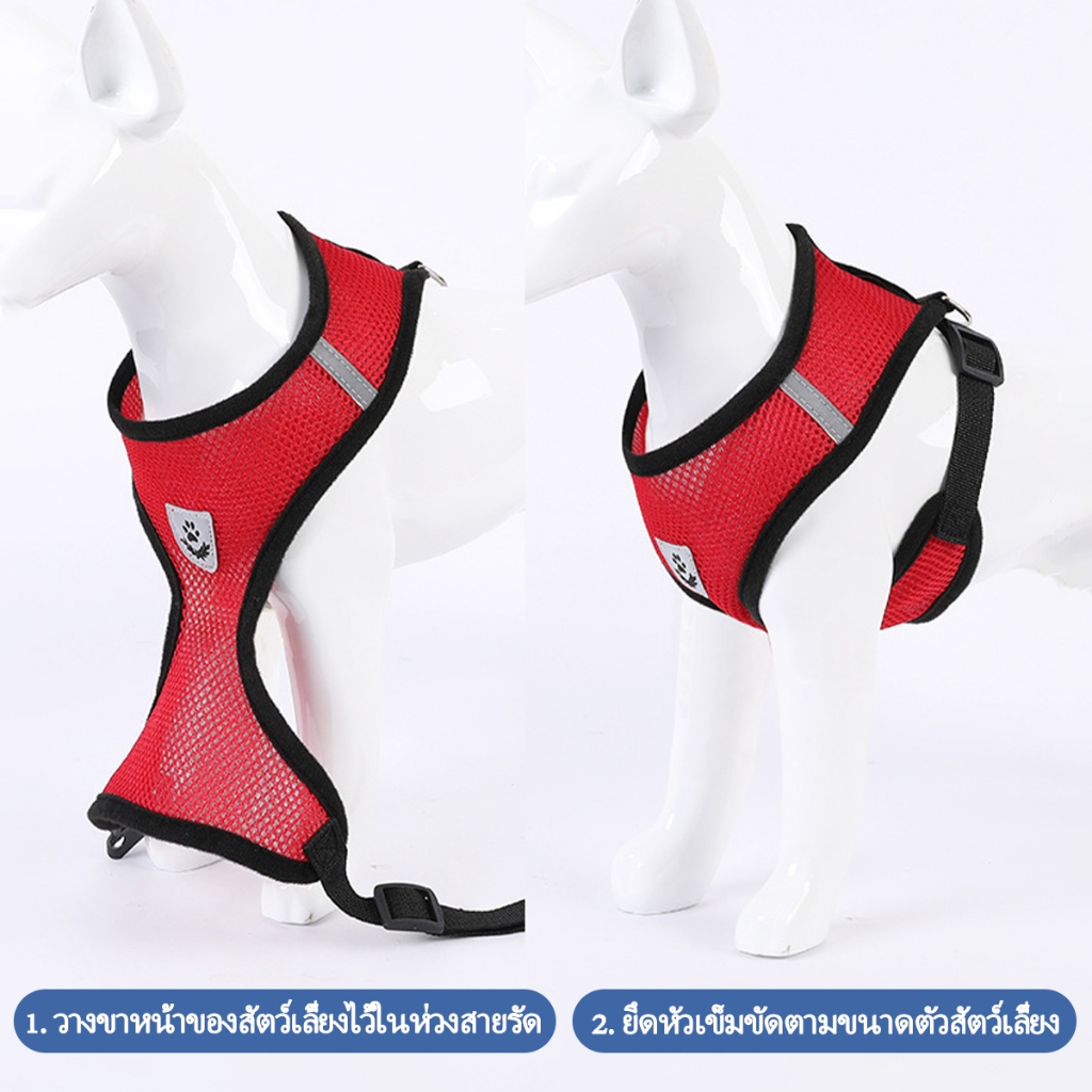 รูปภาพ 4