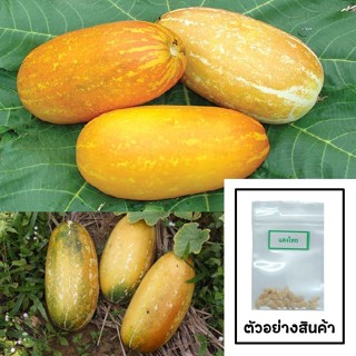 เมล็ด แตงไทย 15  เมล็ด 🌱 ซื้อ 10 แถม 2 คละได้ 💥 เลือกของแถมไ…