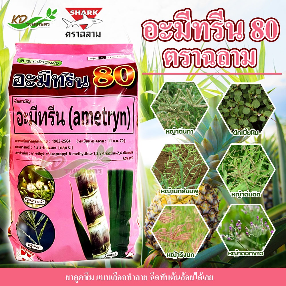 🌿อะมีทรีน 80🌿 (ฉลาม) ขนาด 1 กิโลกรัม กำจัดวัชพืชใบแคบ-ใบกว้าง ในอ้อย สับปะรด ยาดูดซึมแบบเลือทำลายฉีดทับอ้อยได้เลย