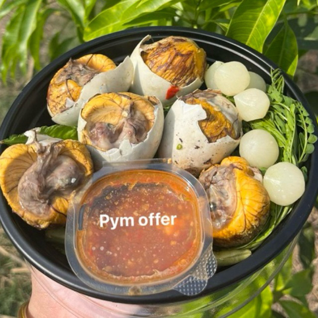‼️พร้อมส่ง🐣ไข่ลูกเป็ดเวียดนามดิบ 10 ฟองไข่ระยะ2 ไข่เหลืองมัน ไข่ขาวกรอบอร่อย ส่งของทุกวัน!!