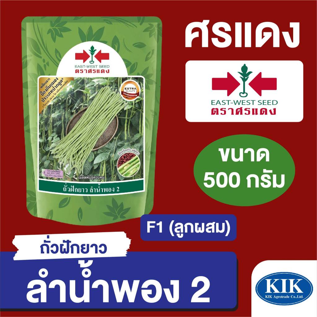 เมล็ดพันธุ์ ศรแดง BIG ถั่วฝักยาว ลำน้ำพอง 2  ขนาด 500 กรัม