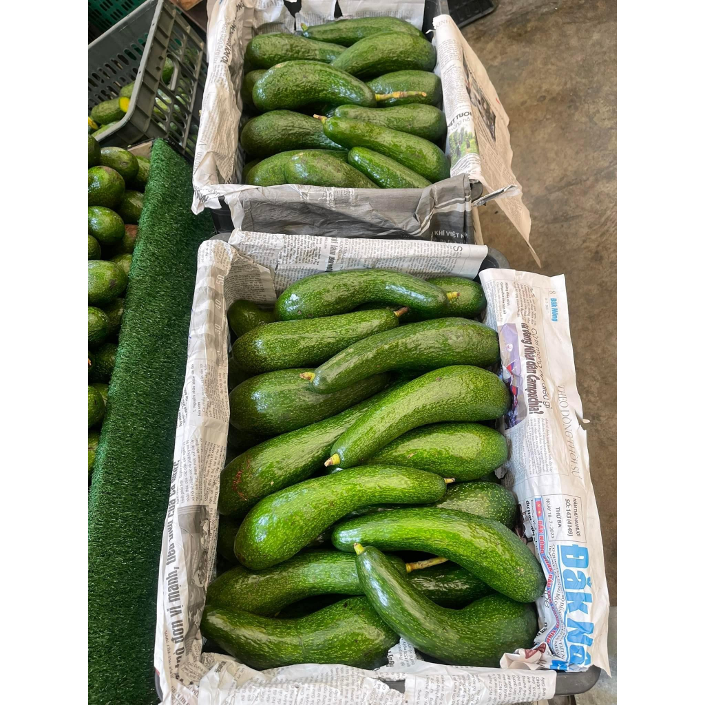 อโวคาโดนำเข้าA034 เกรดพรีเมี่ยม 1KG สุดยอดอะโวคาโด้ อร่อยมากคัดคุณภาพอย่างดี แก่จัดมัน เหนียว อร่อย