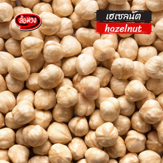 เฮเซลนัทอบ ไม่มีเปลือก รสธรรมชาติ (roasted hazelnut) by ล้อมวง ถั่วเฮเซลนัท เฮเซลนัต ถั่ว ธัญพืช