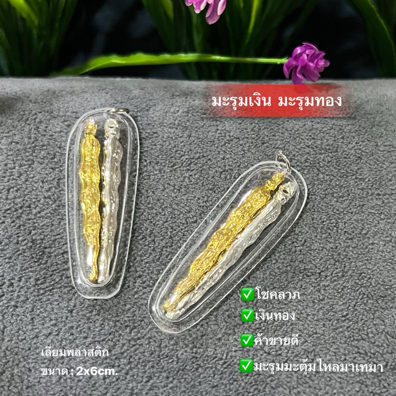 มะรุมเงินมะรุมทอง เป็นเครื่องรางที่มีพุทธคุณทางด้าน โชคลาภ เงินทอง ทำมาค้าขายดี มะรุมมะตุ้มใหลมาเทมา