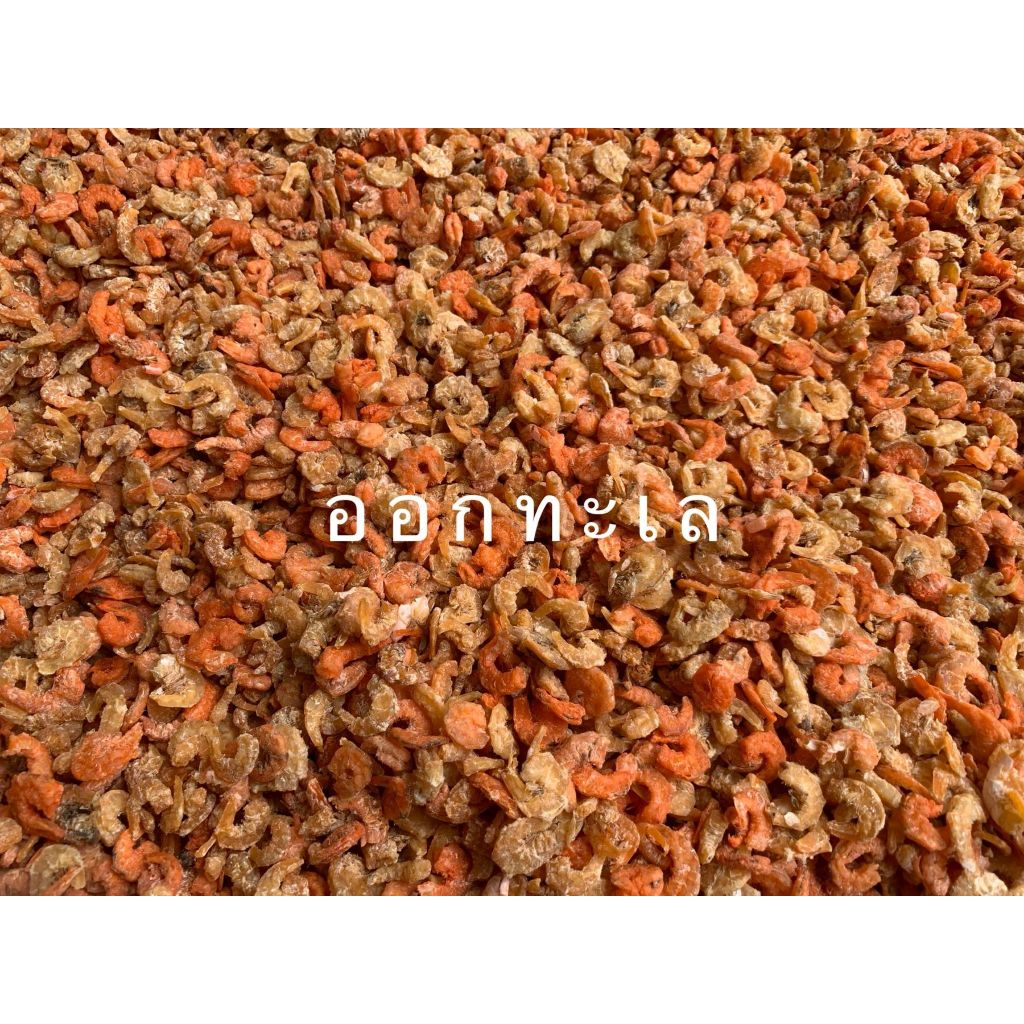 กุ้งแห้งขนาดกลาง กุ้งธรรมชาติ แพ็คสูญญากาศ 200-500 กรัม