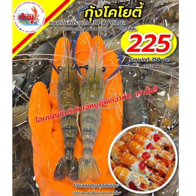 กุ้งโคโยตี้ ตัวเมีย หัวไข่ หัวแก้ว