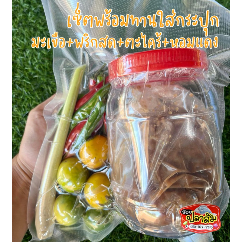 เซ็ตกระปุกกุ้งจ่อม-ปลาจ่อมทรงเครื่อง🦐✨ 149 บาท พร้อมทาน🤤 มะเขือขื่น+พริกสด+หอมแดง+ตะไคร้🍽️
