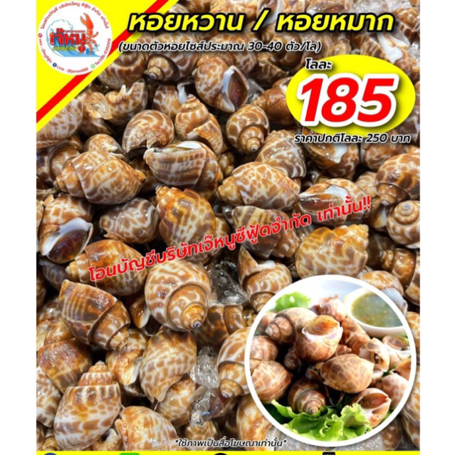 หอยหวาน/หอยหมาก ไซส์30-40ตัวโล