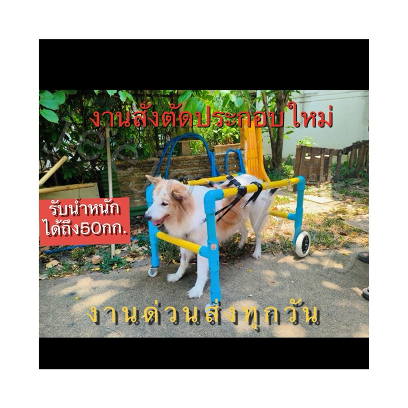 วีลแชร์สำหรับสุนัขพันธุ์ใหญ่