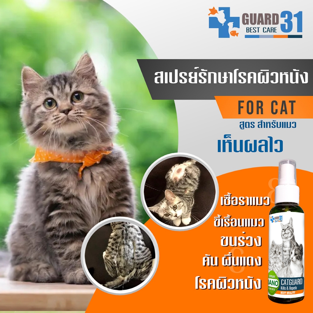 สเปรย์แมวguard31 เชื้อราแมว คัน แมวขนร่วง เรื้อนแมว สำหรับแมว ขนาด 100 ml.