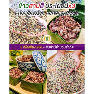 ข้าวกล้องสามสี 5 กิโลกรัม ตรามีสุข (ไรซ์เบอร์รี่+กล้องแดง+กล้อง กข.43)