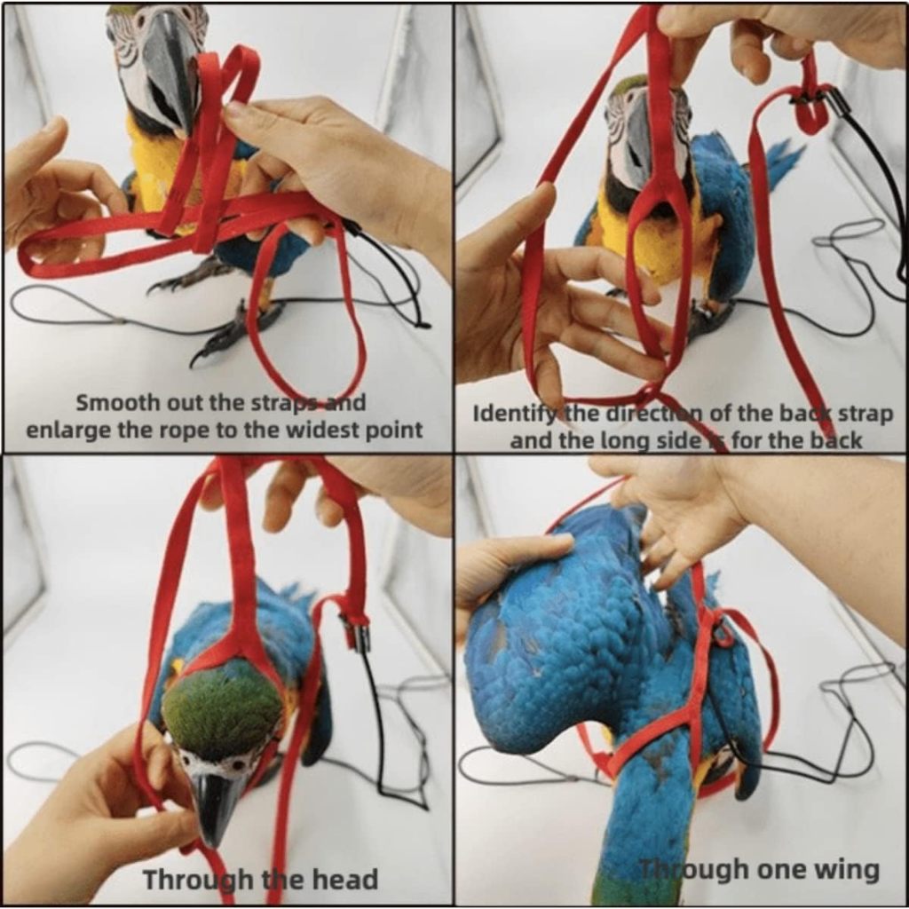MOCHOME Bird Harness Adjustable เชือกจูงสัตว์เลี้ยง แบบนิ่ม ปรับได้ กันกัด ฝึกบิน สําหรับนก นกแก้ว parrot เอี๊ยมนก เชือก รูปที่ 5