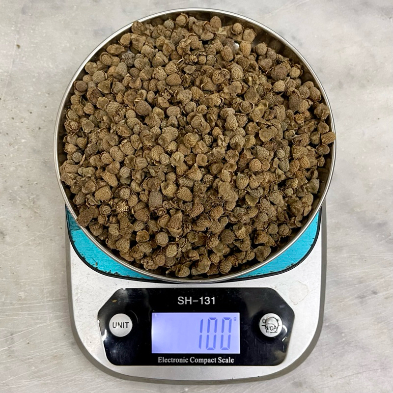 หกพุ่งจี้ 100 กรัม (覆盆子 100g) ฮกพุ่งจี้ Fupenzi ฟู้เผินจื่อ หกพุ้งจื้อ Fructus Rubi 复盆子 Palmleaf Raspberry Fruit สมุนไพร ราคา ถูกที่สุด ดีลบีเคเค แกลเลอรีภาพที่ 3