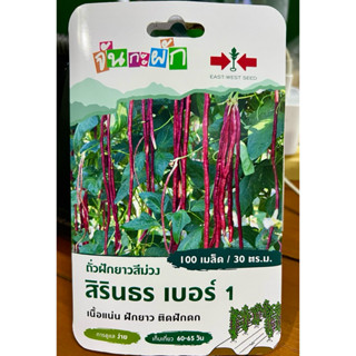 ศรแดง ถั่วฝักยาว สีม่วง สิรินธร (100 เมล็ด)