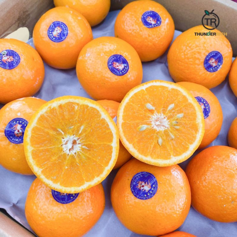 ส้มใต้หวัน 🍊1 kg.🍊ไซร์ L,XL หวาน หอม อร่อย แช่เย็นชื่นใจ🍊🍊 สั่งเลย✔✔ - รูปที่ 2