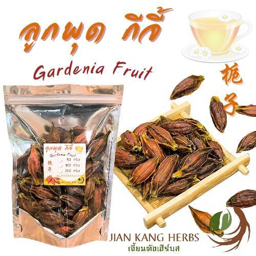 ลูกพุด เม็ดพุด 50 100 200 กรัม ลูกพุดจีน กีจี้ ให้น้ำเก๊กฮวยมีสีเหลืองสวย Gardenia Fruit 栀子 Zhi Zi