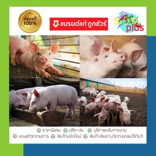 ยีสต์ ไบโอยีสต์ 1กก. ยีสต์หมักรำ กากมัน ยีสต์หมักเสริมโปรไบโอติก ขยายลำไส้ ป้องกันท้องเสีย ท้องร่วง โตดี