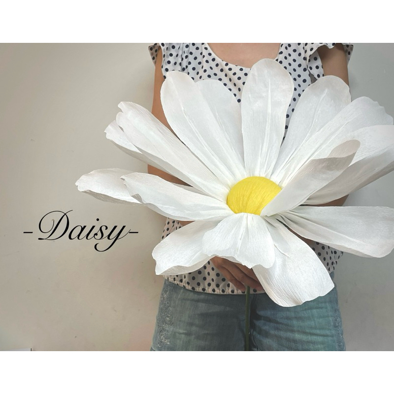 ดอกเดซี่ Daisy flower ดอก 50-80 ซม ยาว ~ 70-80ซม ดอกไม้ยักษ์, Giant flower, วาเลนไทน์ ของขวัญ พร็อพถ่ายรูป paper flower