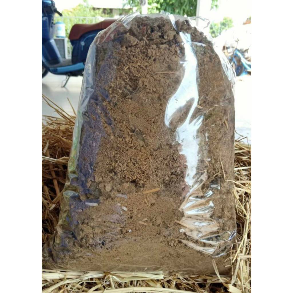 (พร้อมส่ง) มูลวัว ขี้วัว มูลวัวตากแห้ง ปุ๋ยคอก ปุ๋ยใส่ต้นไม้ 1 กิโลกรัม