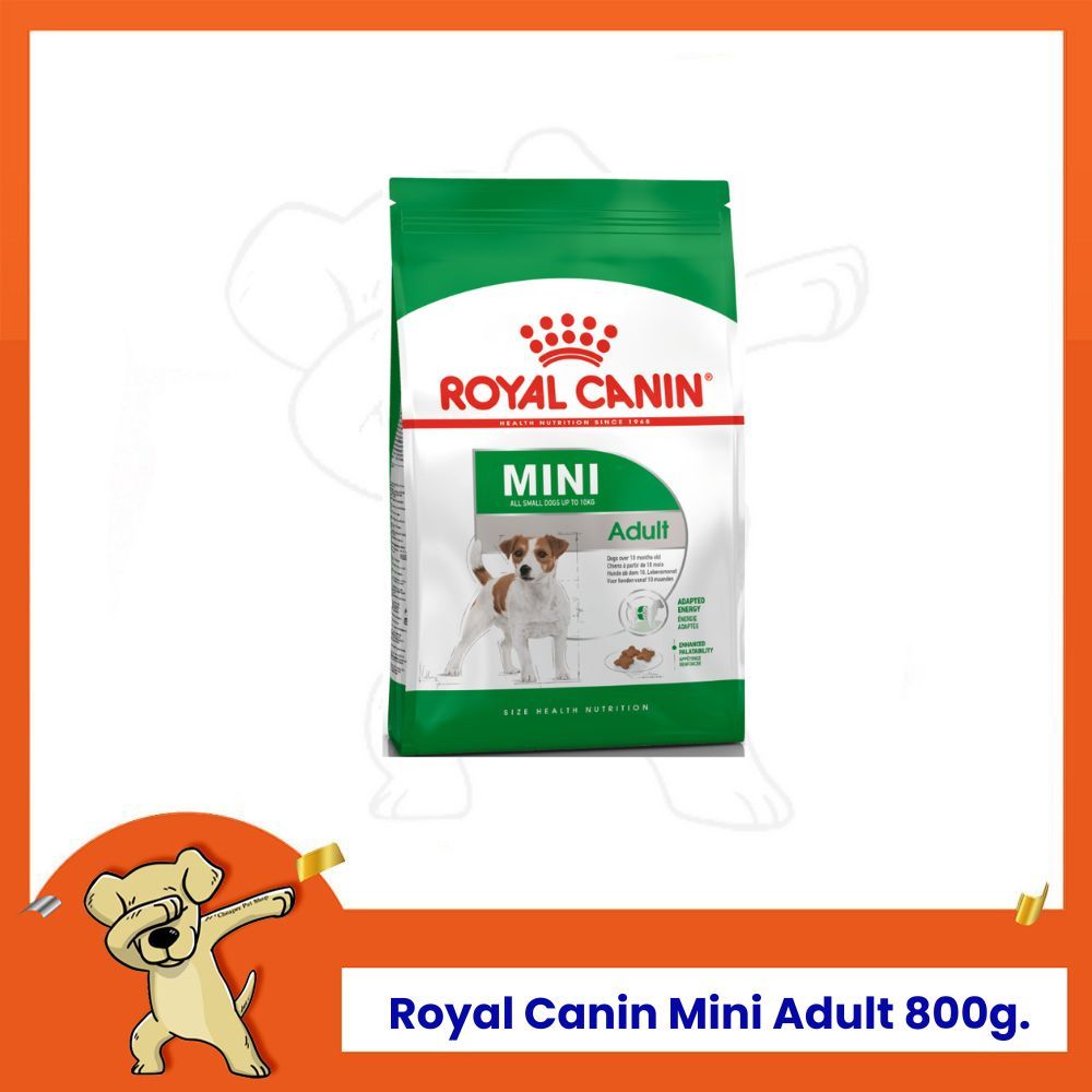 [Cheaper] Royal Canin Mini Adult 800g โรยัลคานิน อาหารสุนัข สูตรสุนัขโต พันธุ์เล็ก ขนาด 800 กรัม