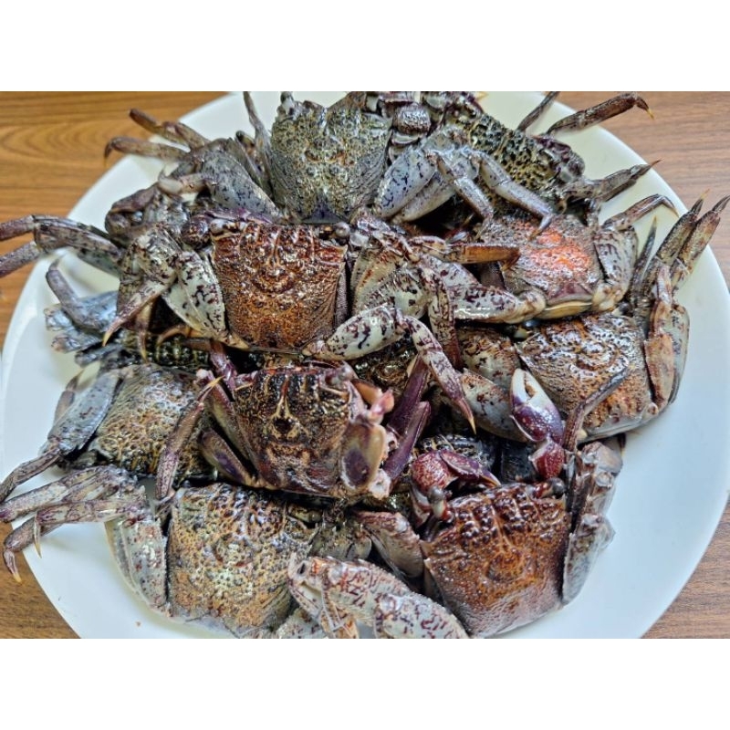 ปูแสมดองเค็ม ปูแสม ( 500 กรัม)  ปูดอง ใส่ส้มตำ ตัวล้วนไม่มีน้ำ