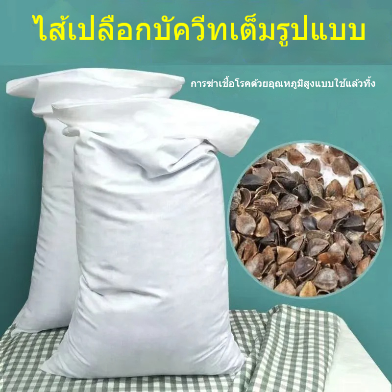 ✟¤หมอนเปลือกบัควีทเดี่ยวแกนหมอนบัควีทเต็มผู้ใหญ่ครัวเรือนกระดูกสันหลังส่วนคอสนับสนุนการนอนหลับช่วยเหลือเด็กผู้ชายและผู้
